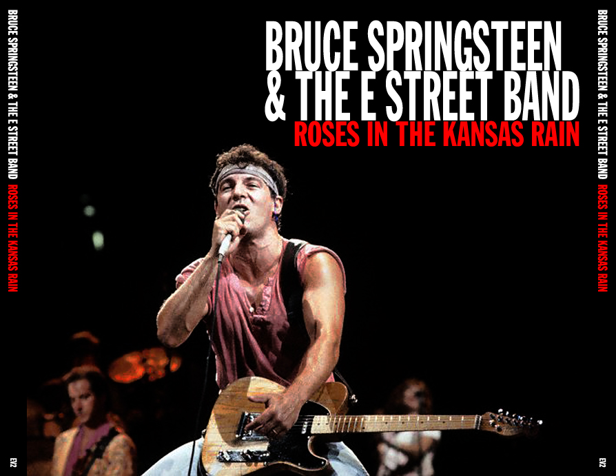 Bruce Springsteen Vienna