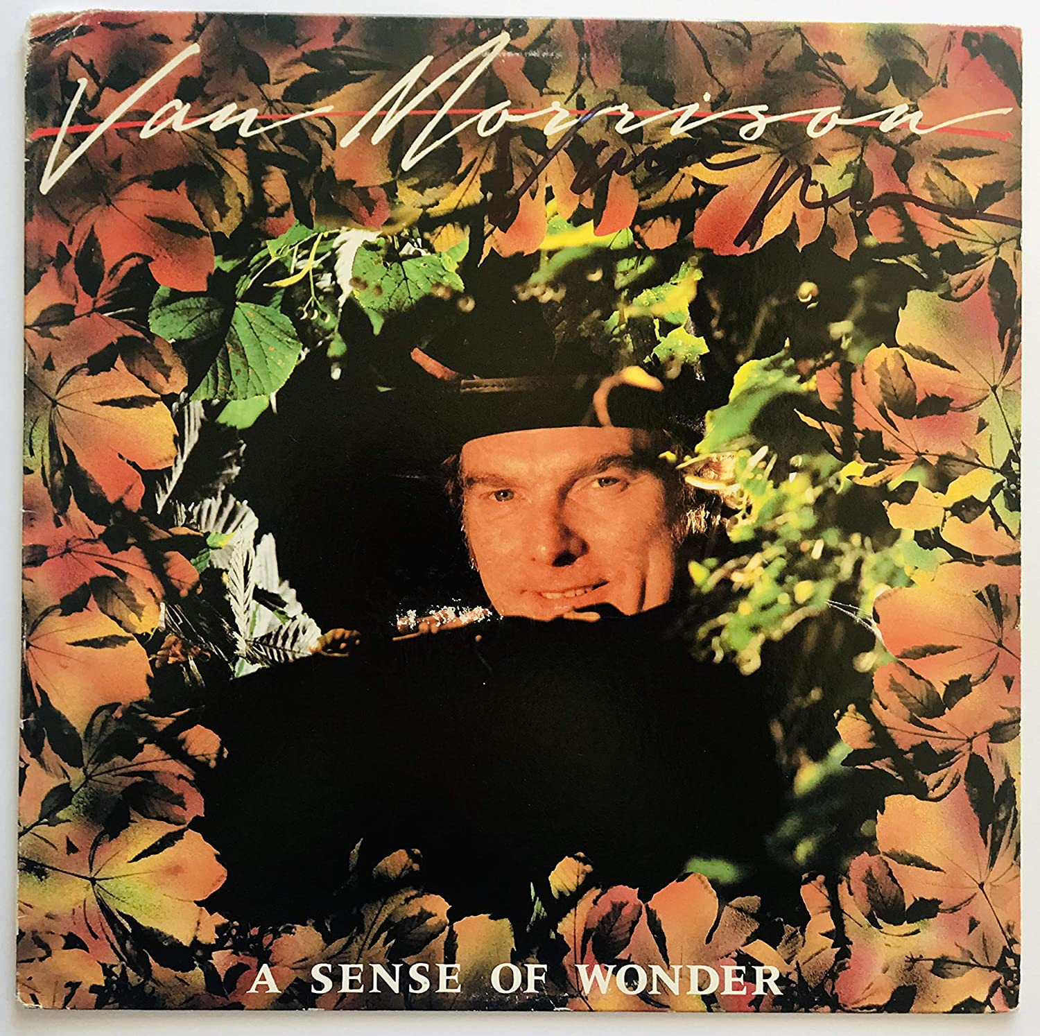 Van Morrison’s 50 Greatest Songs Countdown 29 A Sense of Wonder